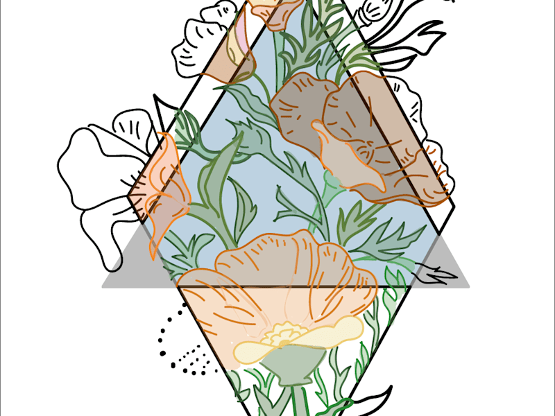 Cover image for Floral complex