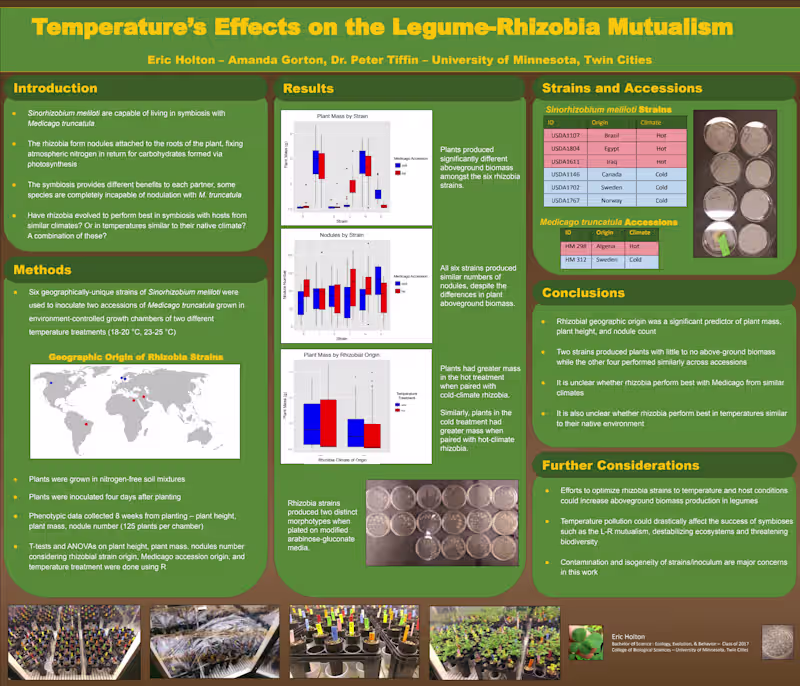 Cover image for Temperature's Effects on the Legume-Rhizobia Mutualism as se...