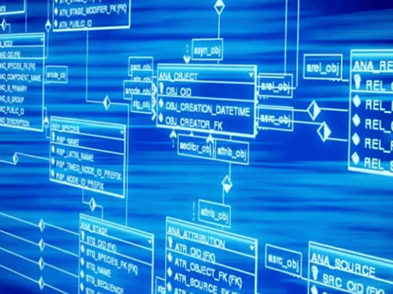 Cover image for Complex Database Query Crafting Initiative 