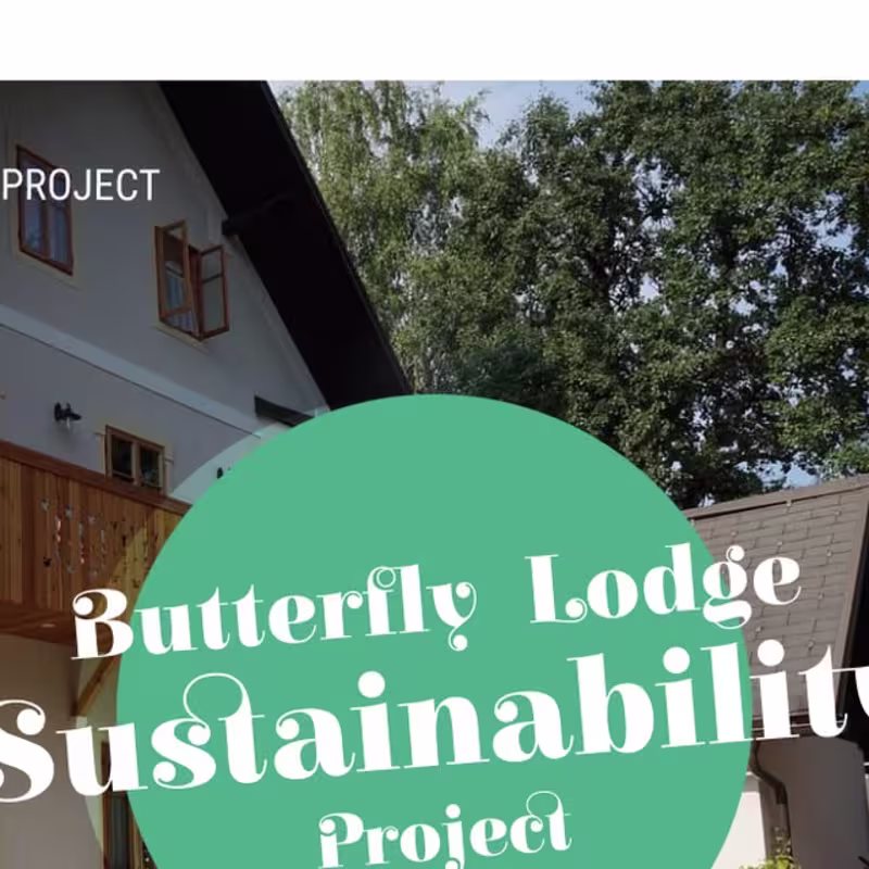 Cover image for Butterfly Lodge's transformative journey