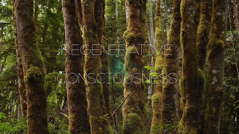 Cover image for AI and the Environment: A Philosophical Overview