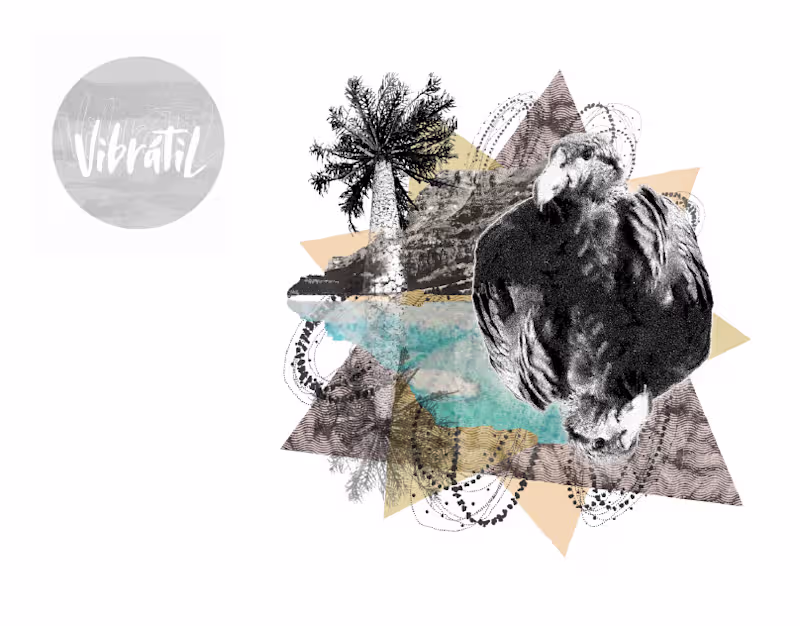 Cover image for Patagonia Prints — Textile & Digital Collage