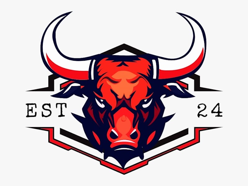 Cover image for Professional Logo Design