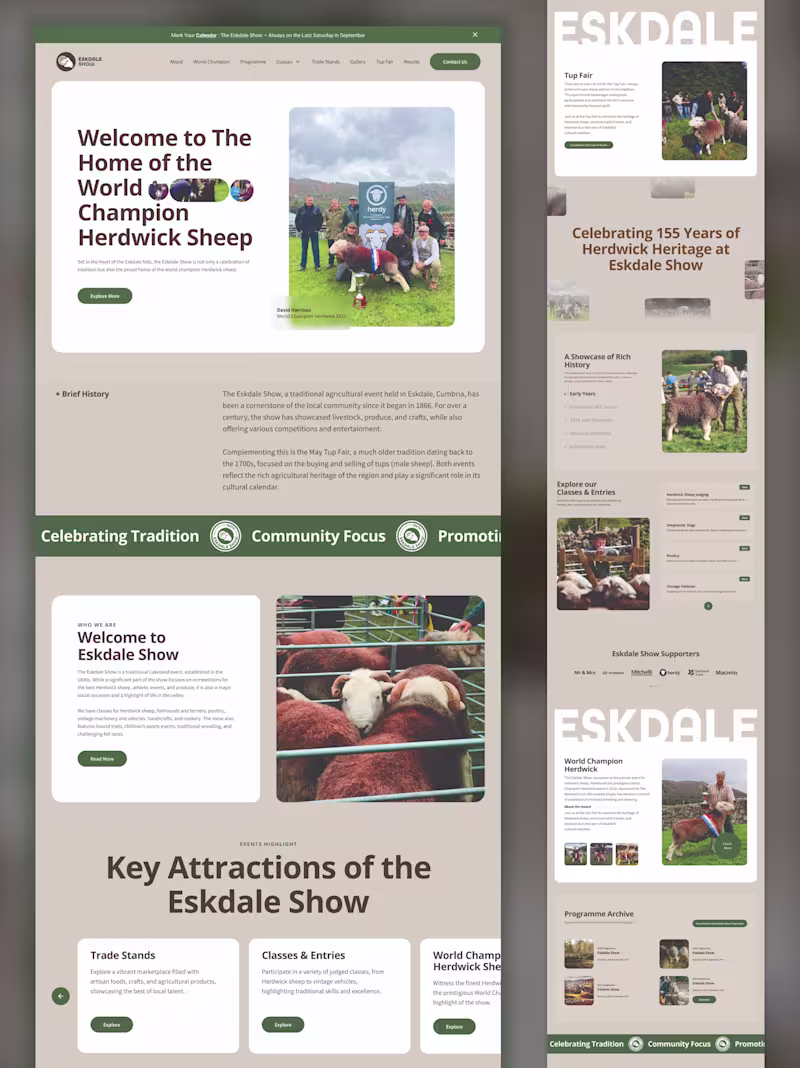 Cover image for This is how I start any project. I begin by designing the br...