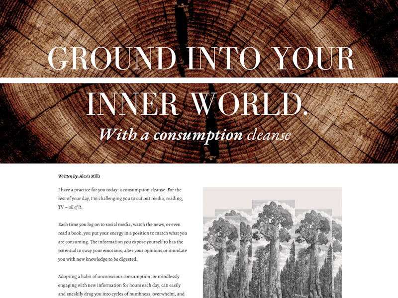 Cover image for Ground Into Your Inner World with a Consumption Cleanse