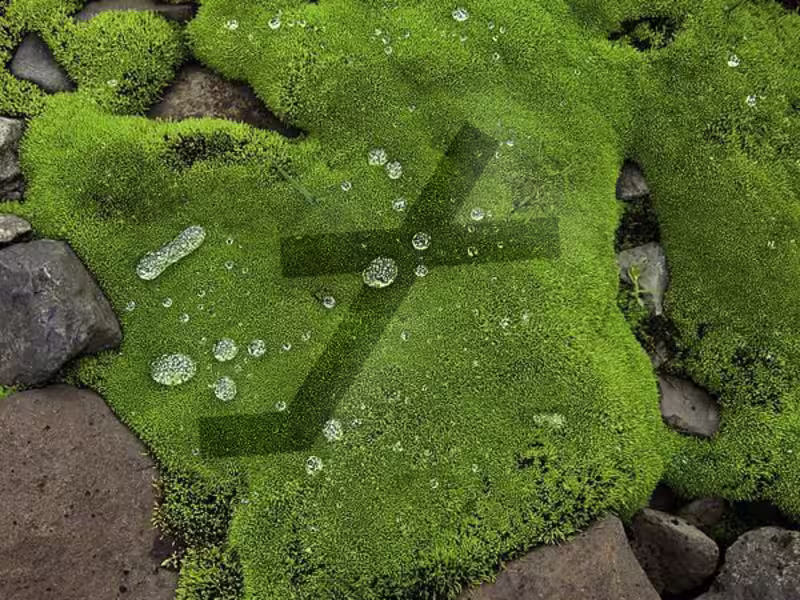 Cover image for Personal Brand Book