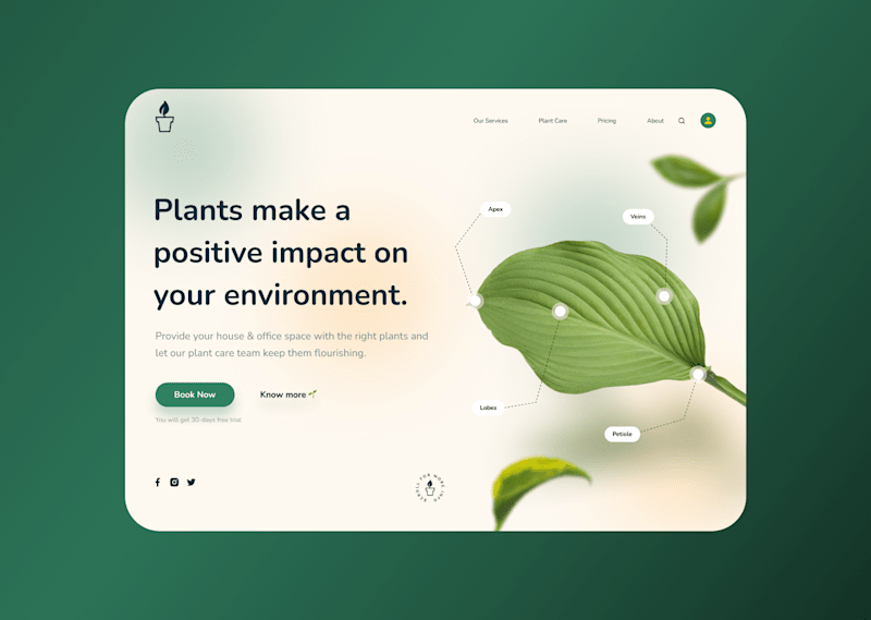 Cover image for Plant Project 🌱