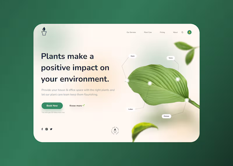 Cover image for Plant Project 🌱