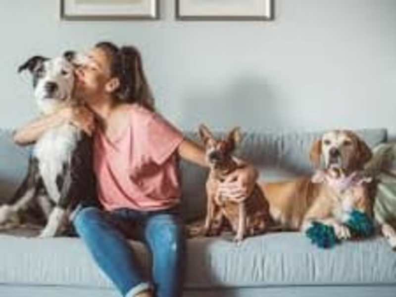 Cover image for Elle Belle Pet Sitting