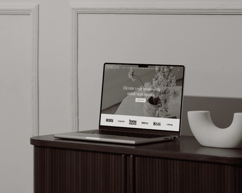 Cover image for Chelon - Website In A Day