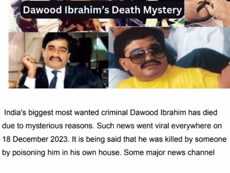 Cover image for 1000+ words with SEO Expert for your Articles and Blog Posts