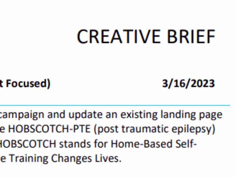 Cover image for CREATIVE BRIEF