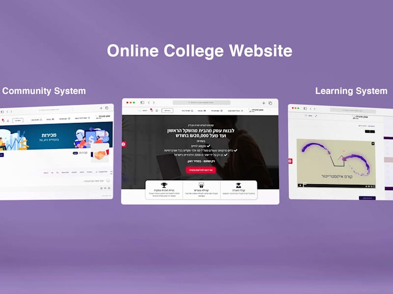 Cover image for Complex Wordpress website development