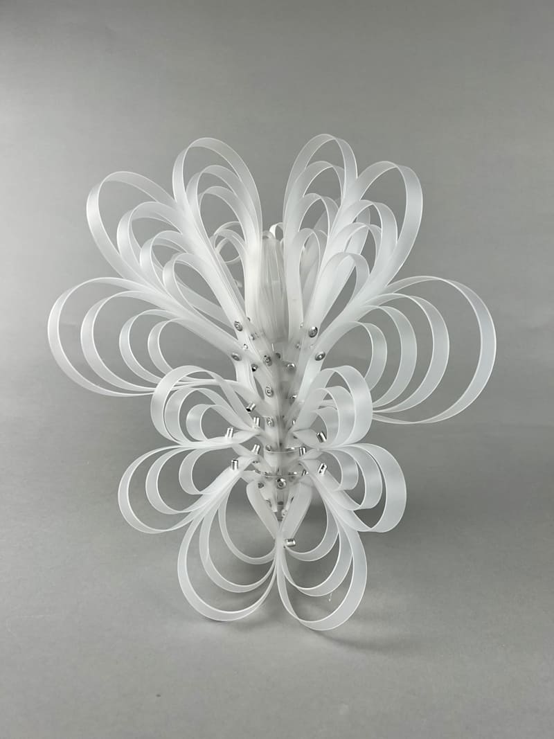 Cover image for Butterfly