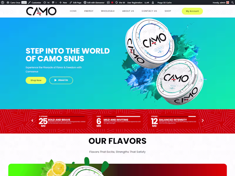 Cover image for Custom Website Development on WordPress, HTML, or Shopify