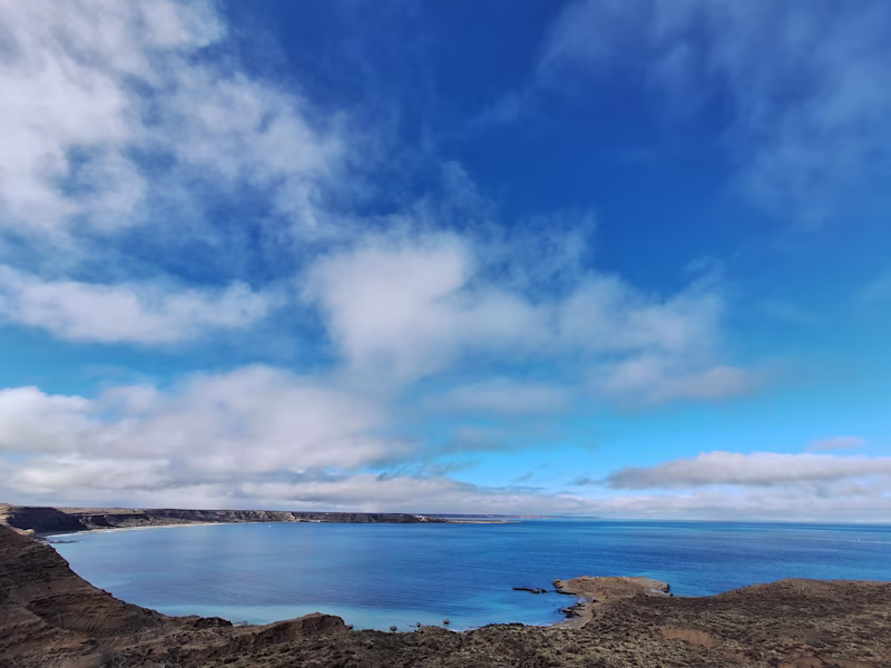 Cover image for Escritora de blogs / Producción de artículos periodísticos