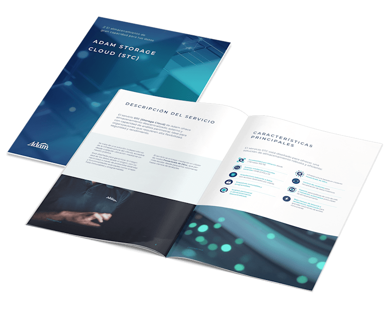 Cover image for Shaping Adam’s service portfolio: Case study