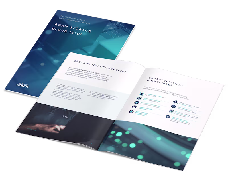 Cover image for Shaping Adam’s service portfolio: Case study