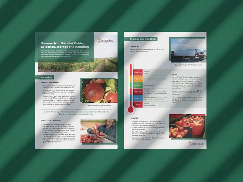 Cover image for Summerfruit Marketing Campaign