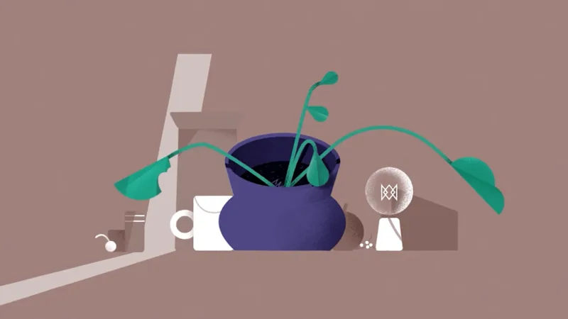 Cover image for Seed&Stem