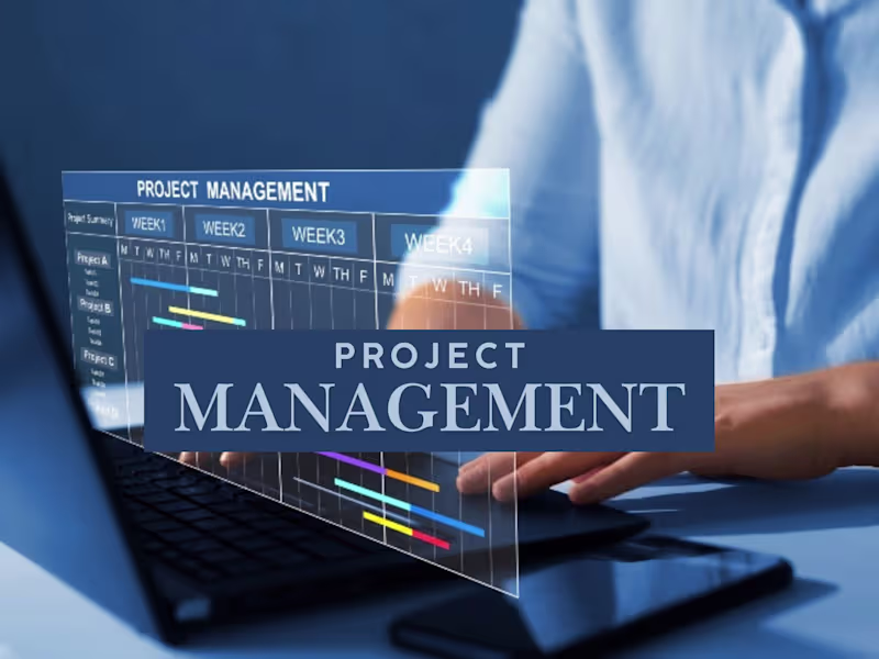 Cover image for Simplified Project Management for the Delivery of Content