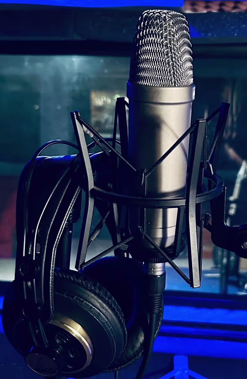 Cover image for Audio Restoration and Editing