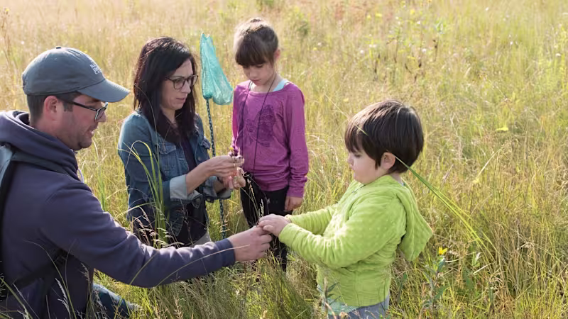 Cover image for SEO Audit and Optimization for Nature Conservancy of Canada