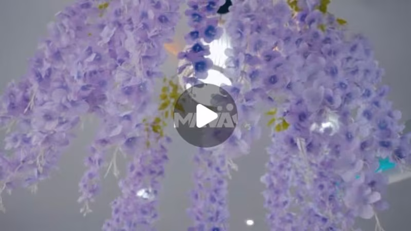 Cover image for Mana’s Portfolio on Instagram: “New Visual 🎥✨ Out for [ @castl…