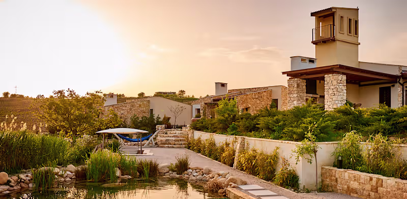 Cover image for Zornitza family estate