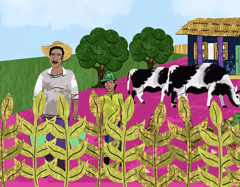 Cover image for Proyecto Transformación Social-Ecológica FESMEX :: Behance