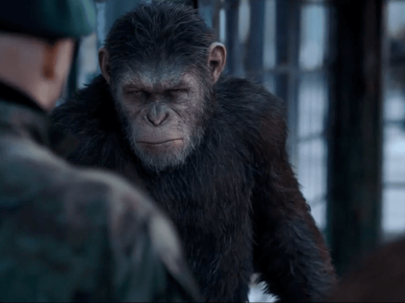 Cover image for War for the Planet of the Apes