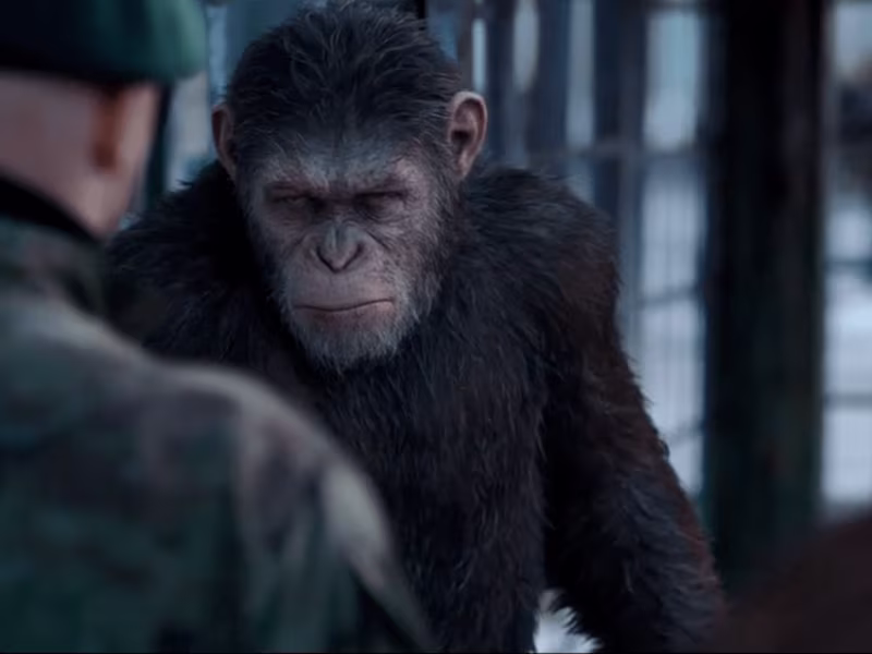 Cover image for War for the Planet of the Apes