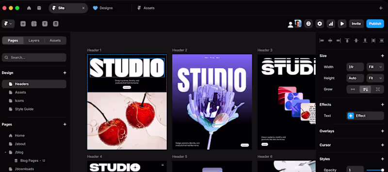 Cover image for Framer Website Development