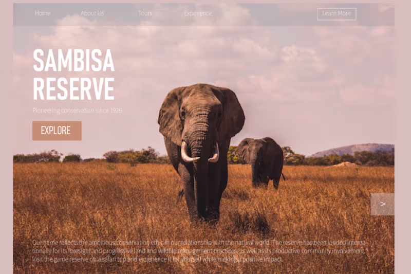 Cover image for Sambisa Forest Reserve