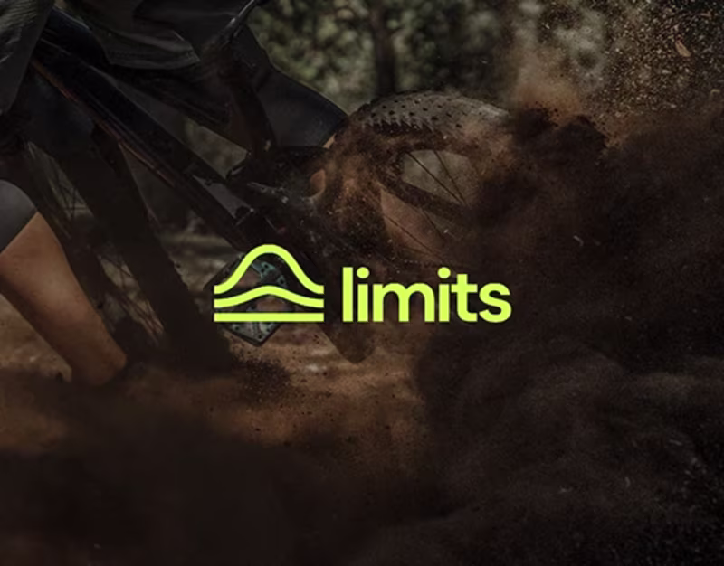 Cover image for Limits