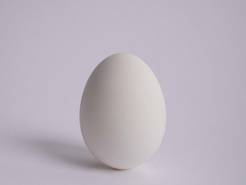Cover image for eEgg shop