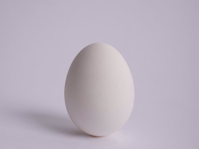 Cover image for eEgg shop