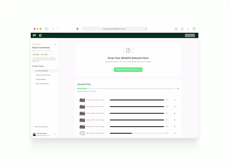 Cover image for Product design for AnimalDetect - Wildlife data management