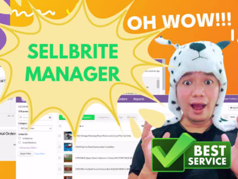 Cover image for I will be your sellbrite manager