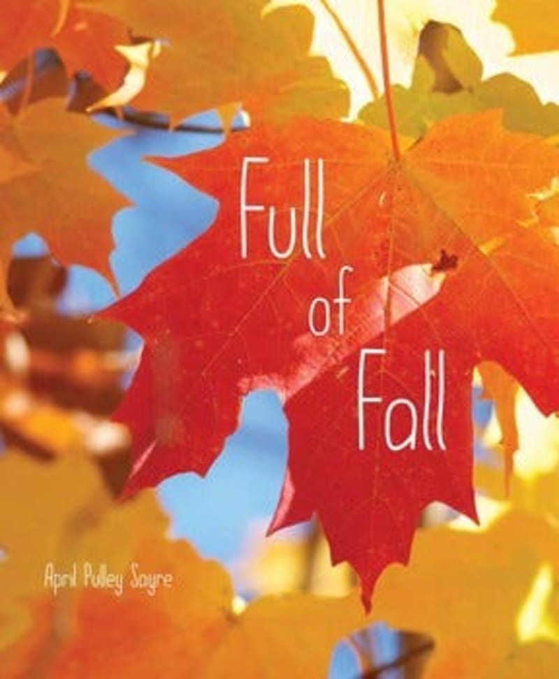 Cover image for Children's Picture Book Review: Full of Fall
