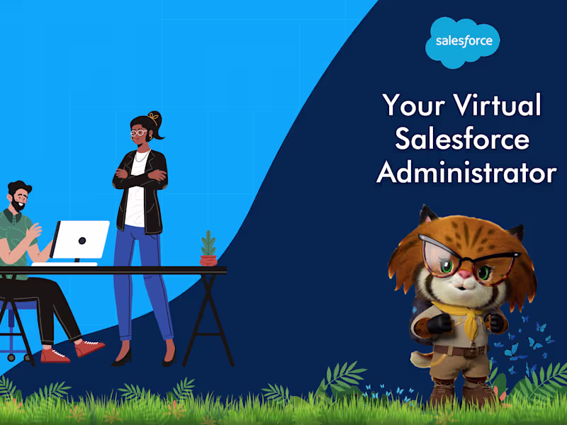 Cover image for Salesforce Consultancy with development and Admin support.