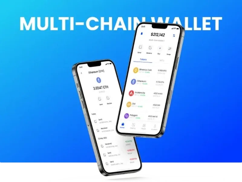 Cover image for Multichain Wallet 