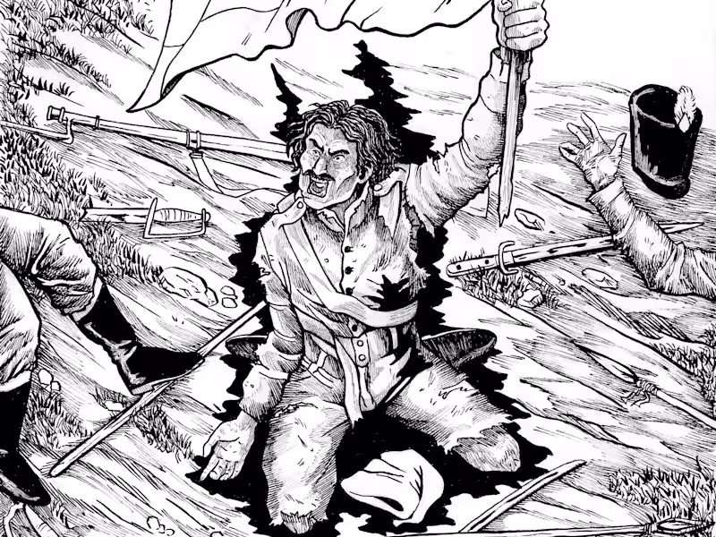 Cover image for Traditional Hand-Drawn Illustrations