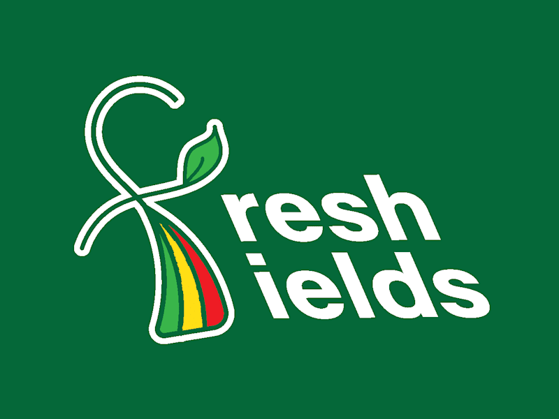 Cover image for Logo Design and Branding: Define Your Brand's Unique Identity