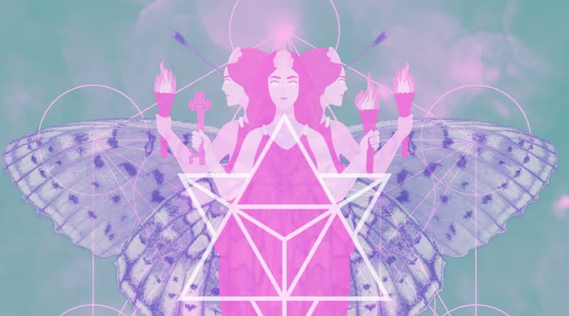 Cover image for The Importance of Witches
