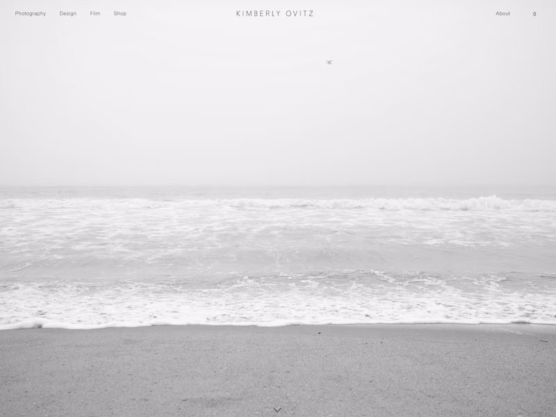 Cover image for [Squarespace] Kimberly Ovitz 🦓