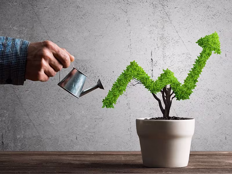 Cover image for B2B Account Management & Customer Success for SaaS Start ups