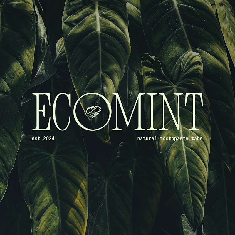Cover image for Ecomint – Brand Identity