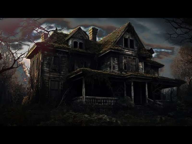 Cover image for Willow manor : A paranormal case study