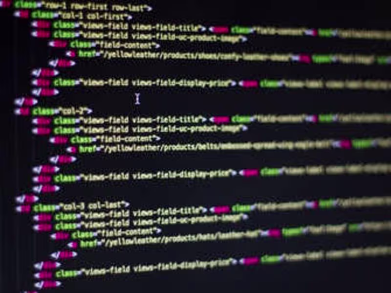 Cover image for Web Developer